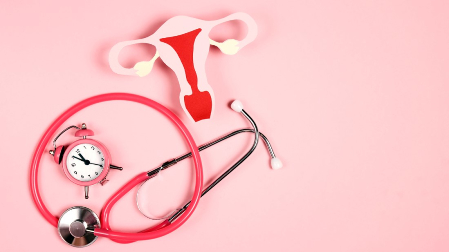 Menopausa: invisibilidade compromete acesso ao tratamento e atenção pública